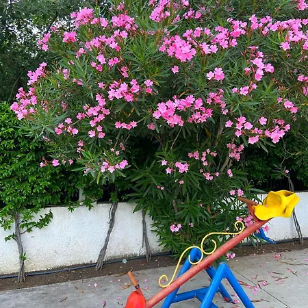 فندق Prestige Velipojë