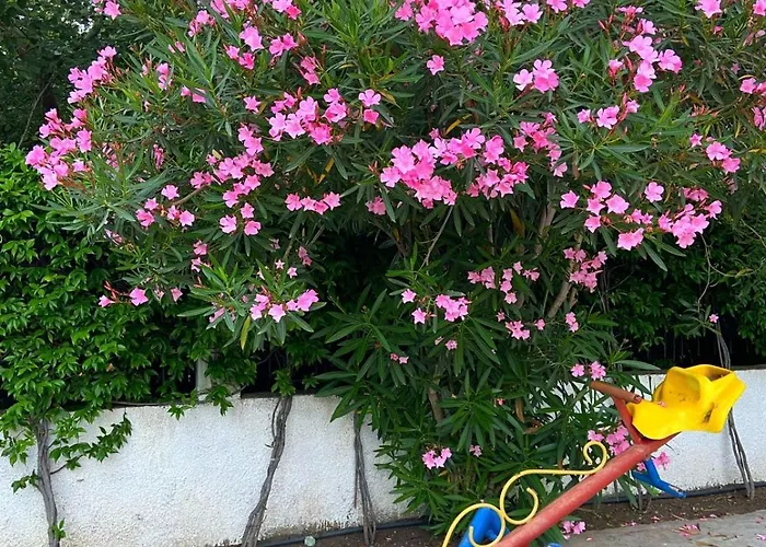 فندق Prestige Velipojë